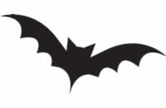 I pipistrelli: gli antenati di Batman