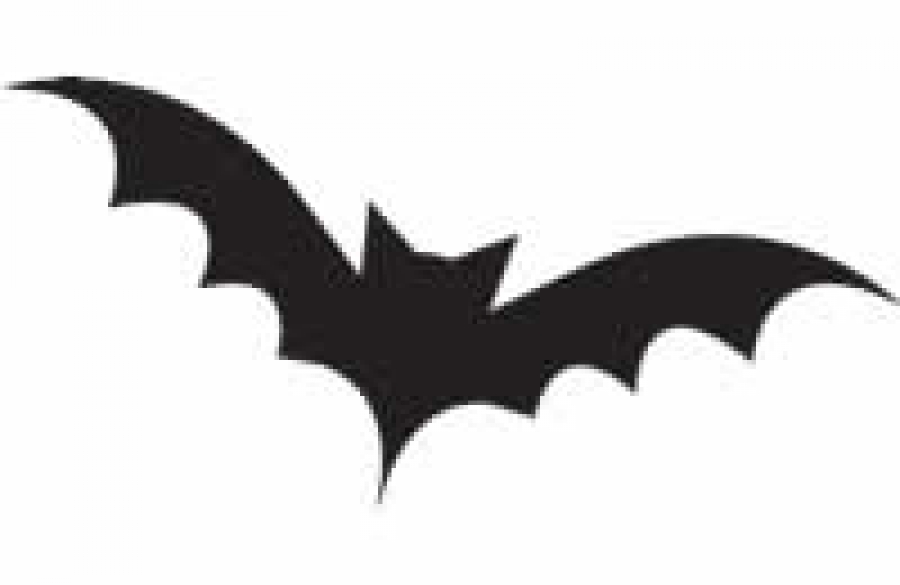 nisthilfe Batman Logo Mangiatoia per pipistrelli Maniche a Pipistrello riquadro 