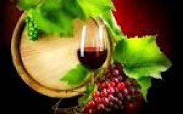 Il sapere di vino…e la valutazione sensoriale