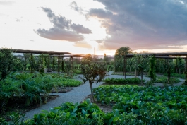 L’orto-giardino di Barbanera: un eden di delizie in una architettura del verde