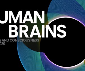 “Human Brains”