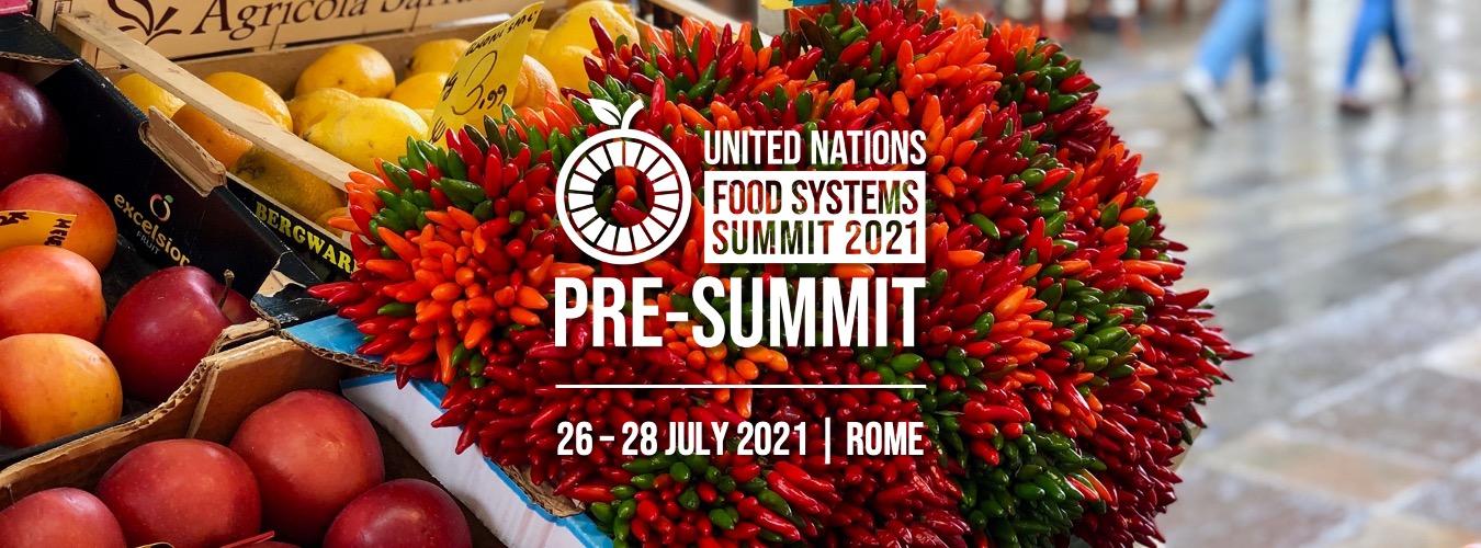 Food Systems Summit 2021