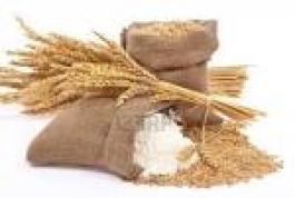 Le farine: origini, usi e tipologie
