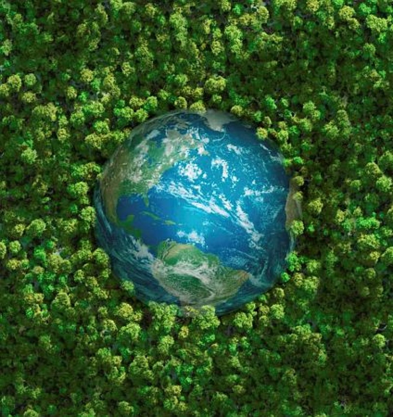 Giornata mondiale dell'ambiente. Un futuro green è possibile