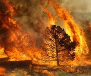 Incendi e alluvioni: le responsabilità dell’uomo