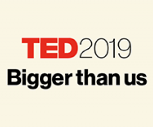 Ted 2019